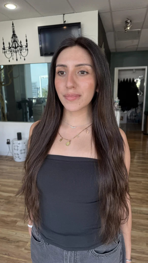 Before: long brunette hair without the lighter front pieces